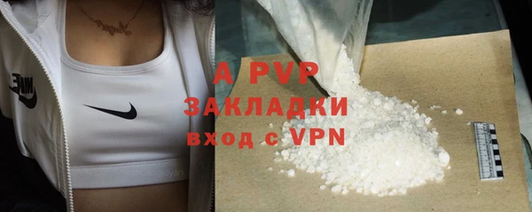 стаф Баксан