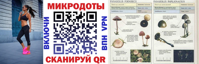 Купить где Мариинский Посад Галлюциногенные грибы Magic Shrooms